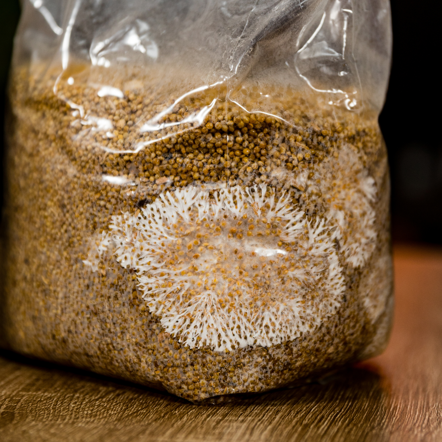 30Pcs Mushroom Grow Bags with 0.2 Micron Filter Patch, 3 Mil Polypropylene,  Large Size 6