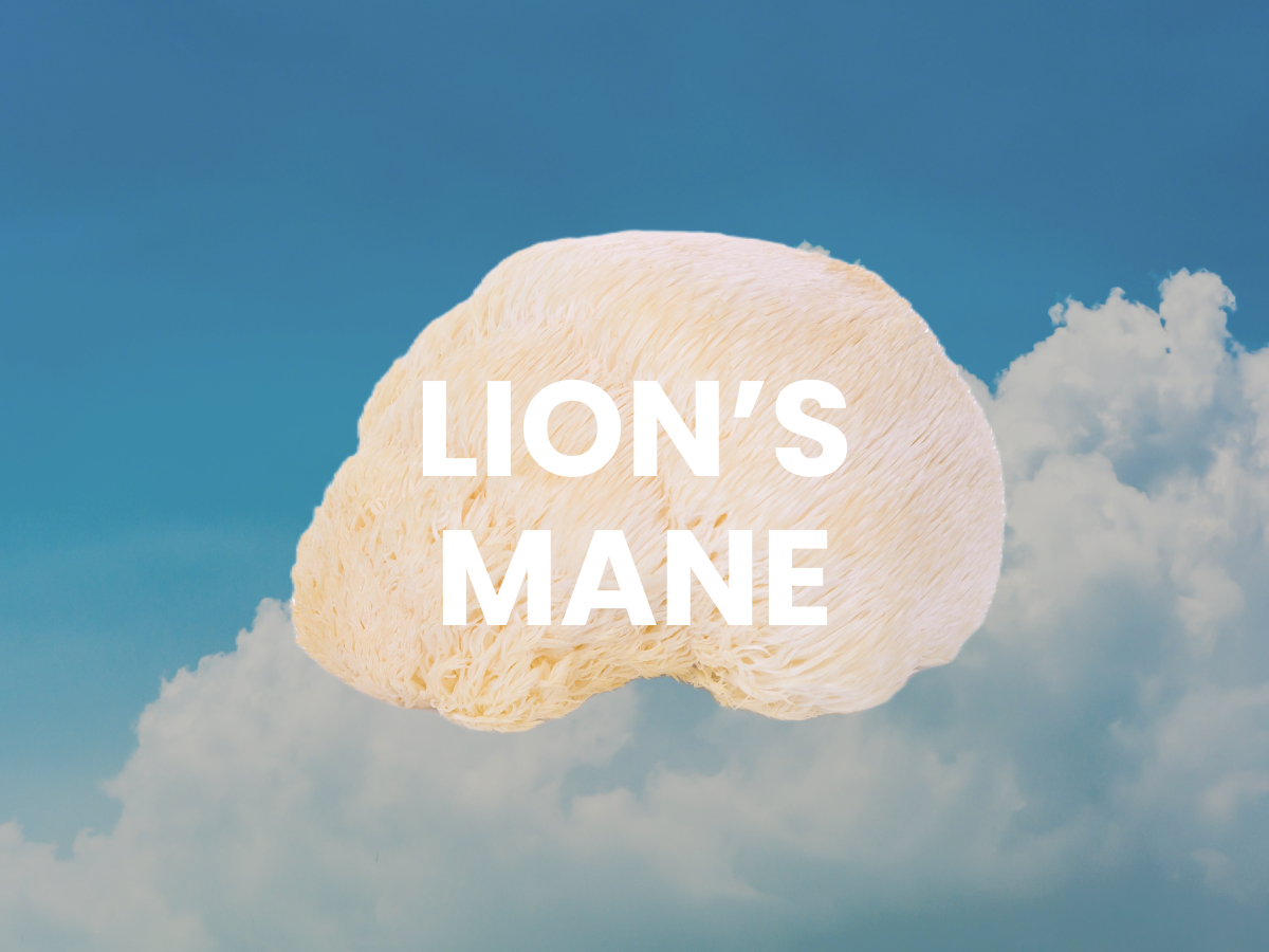 Grow Your Brain Health: Master the Magic of Lion's Mane with Our Mushroom Grow Kit
